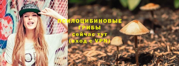 стафф Абинск