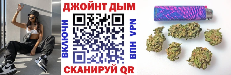Бошки марихуана сатива  Сольвычегодск 